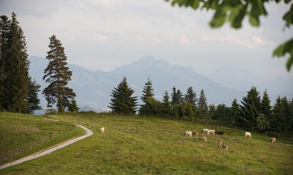 Panoramagasthof Auf Dem Auerberg Bernbeuren Exteriér fotografie