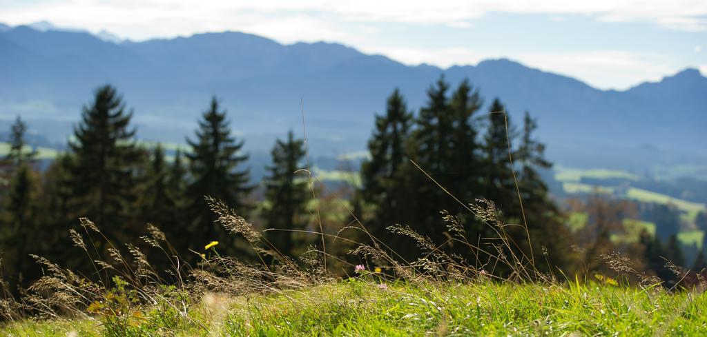 Panoramagasthof Auf Dem Auerberg Bernbeuren Exteriér fotografie